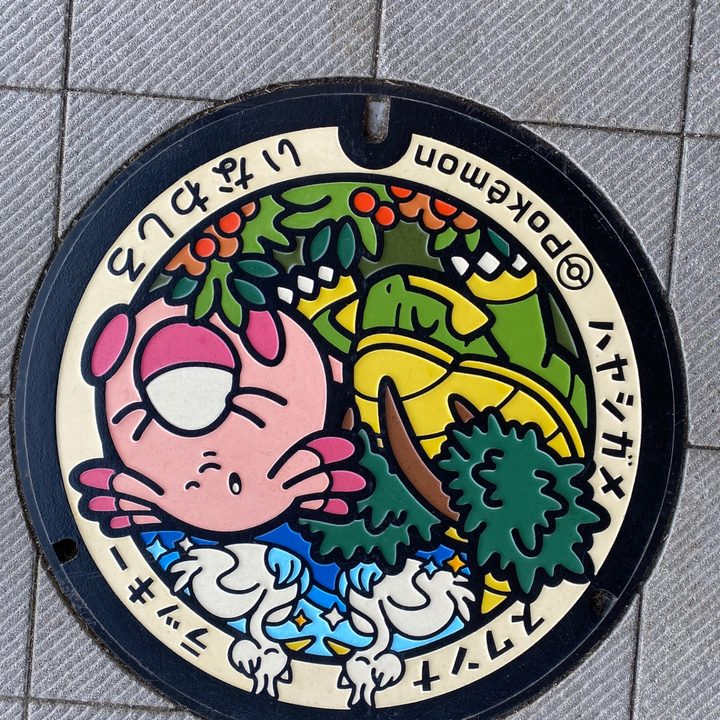 福島県猪苗代のポケふた（スワンナ・ハヤシガメ・ラッキー）の写真