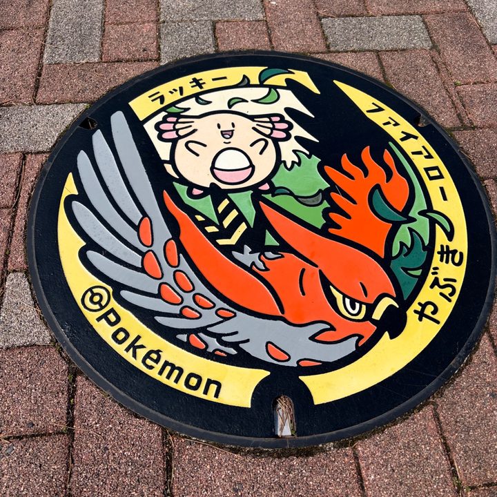 矢吹町 大池公園のポケふた（ファイアロー・ラッキー）の写真