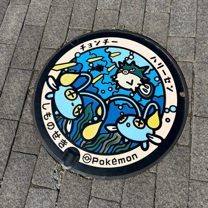 Photo of the Chinchou, Qwilfish Poké Lid in Shimonoseki