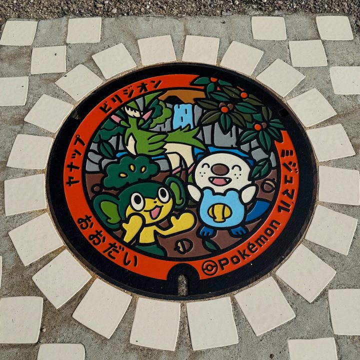 三重県多気郡大台町のポケふた（ビリジオン・ミジュマル・ヤナップ）の写真