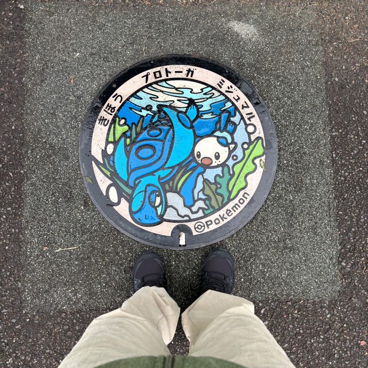 三重県南牟婁郡紀宝町のポケふた（プロトーガ・ミジュマル）の写真
