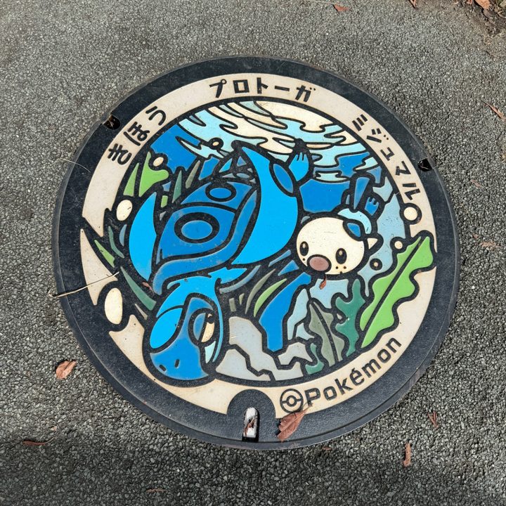 南牟婁郡紀宝町 道の駅紀宝町ウミガメ公園のポケふた（プロトーガ・ミジュマル）の写真