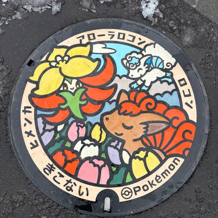 ロコン