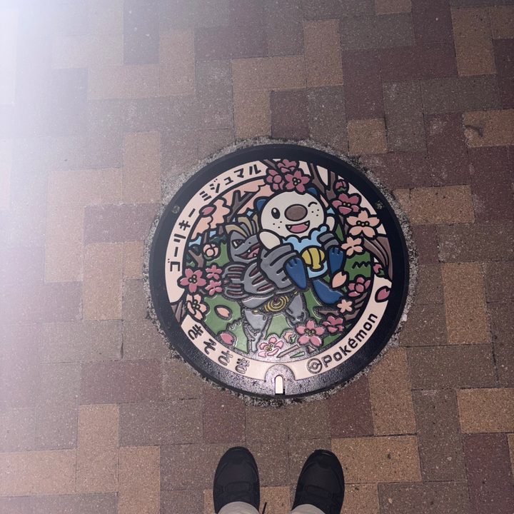 三重県桑名郡木曽岬町のポケふた（ゴーリキー・ミジュマル）の写真
