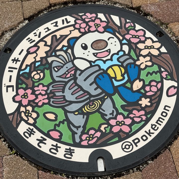 三重県桑名郡木曽岬町のポケふた（ゴーリキー・ミジュマル）の写真