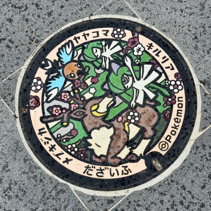 太宰府市 大宰府政庁跡のポケふた（キルリア・メブキジカ・ヤヤコマ）の写真