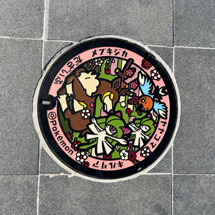 太宰府市 大宰府政庁跡のポケふた（キルリア・メブキジカ・ヤヤコマ）の写真