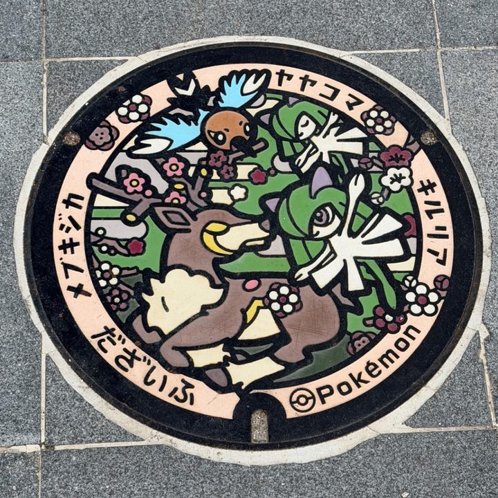 太宰府市 大宰府政庁跡のポケふた（キルリア・メブキジカ・ヤヤコマ）の写真