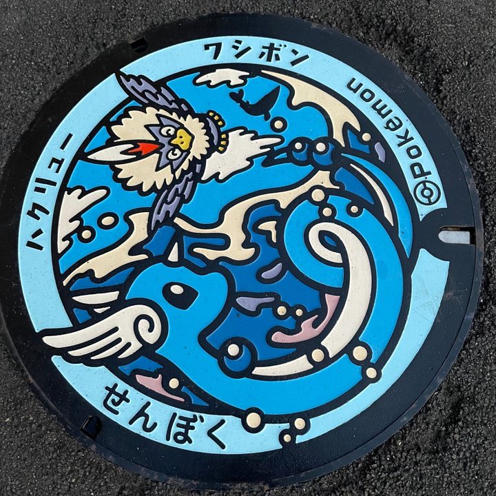 秋田県仙北のポケふた（ハクリュー・ワシボン）の写真