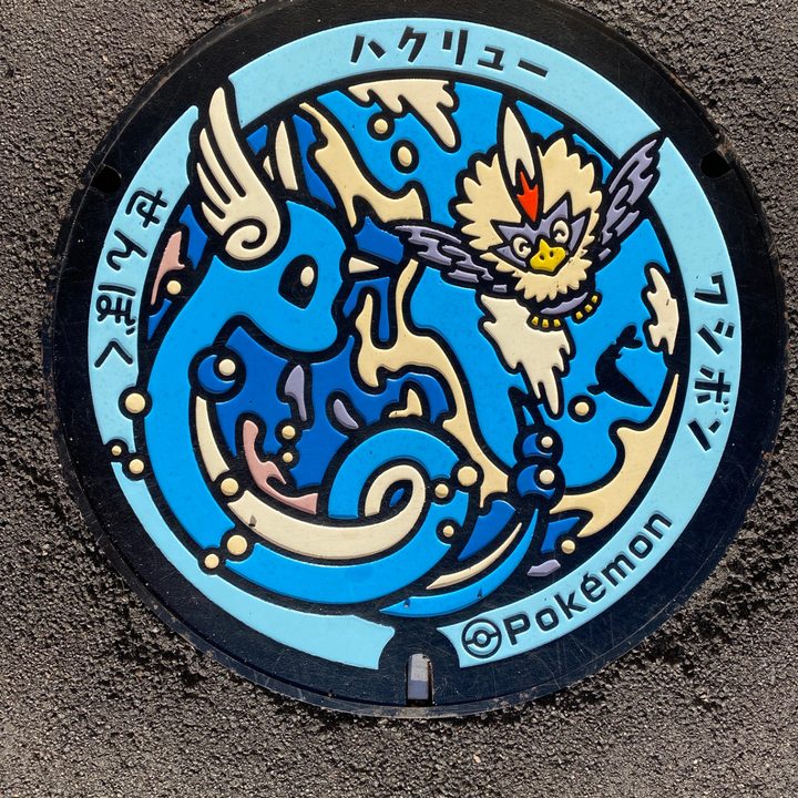 秋田県仙北のポケふた（ハクリュー・ワシボン）の写真