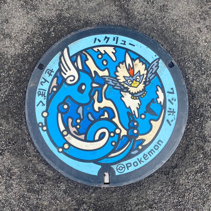 秋田県仙北のポケふた（ハクリュー・ワシボン）の写真