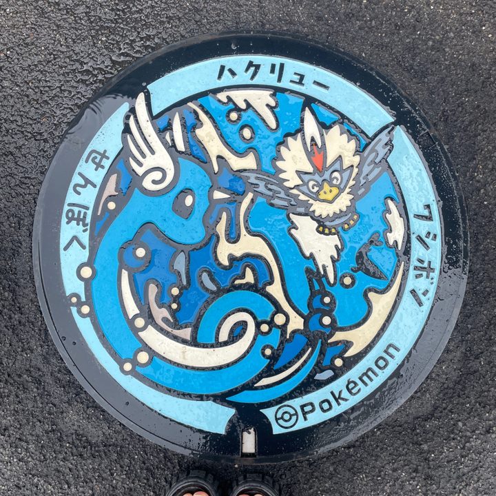 秋田県/仙北市のポケふた（ハクリュー・ワシボン）の写真