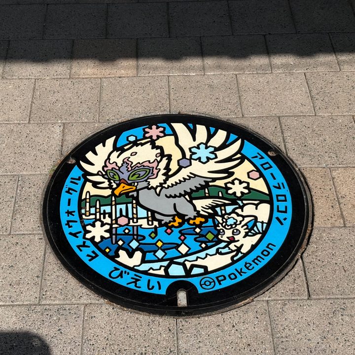 美瑛町 ホテル ラヴニールのポケふた（アローラロコン・ヒスイウォーグル）の写真