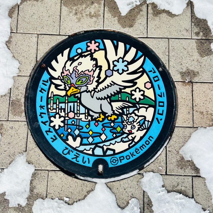 美瑛町 ホテル ラヴニールのポケふた（アローラロコン・ヒスイウォーグル）の写真