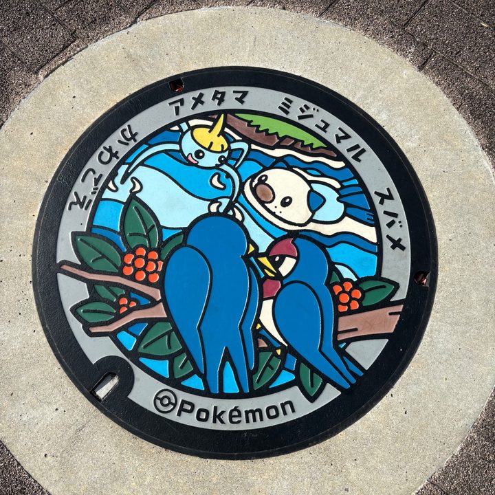 三重県三重郡川越町のポケふた（アメタマ・スバメ・ミジュマル）の写真