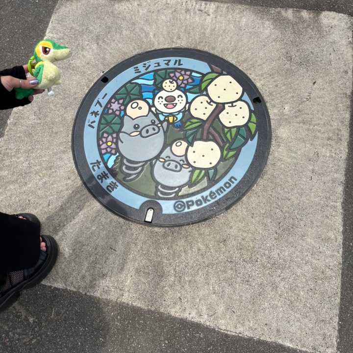 三重県度会郡玉城町のポケふた（バネブー・ミジュマル）の写真