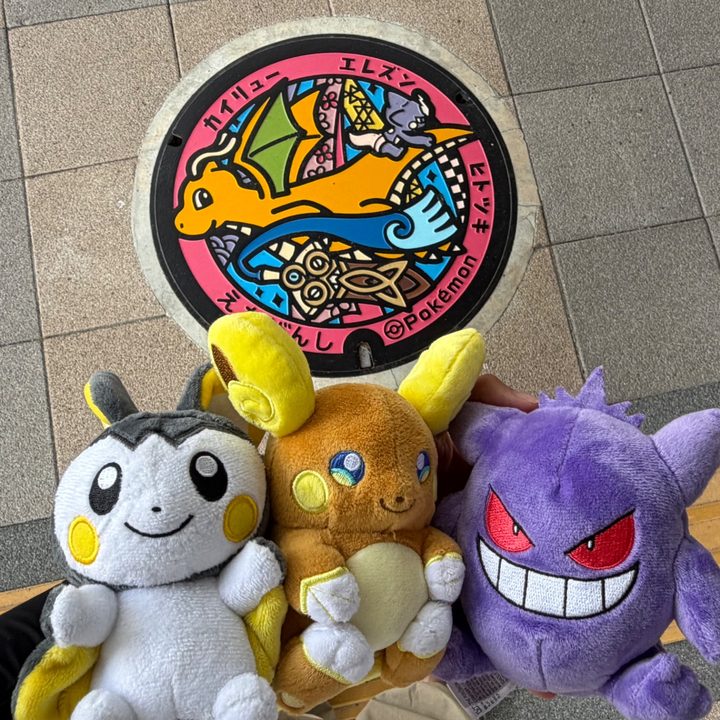 福井県越前のポケふた（エレズン・カイリュー・ヒトツキ）の写真