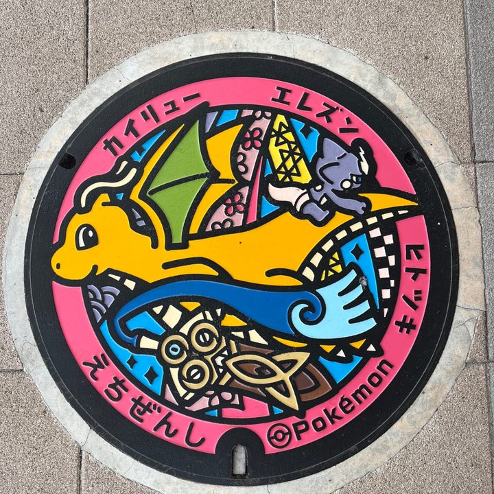 福井県越前のポケふた（エレズン・カイリュー・ヒトツキ）の写真