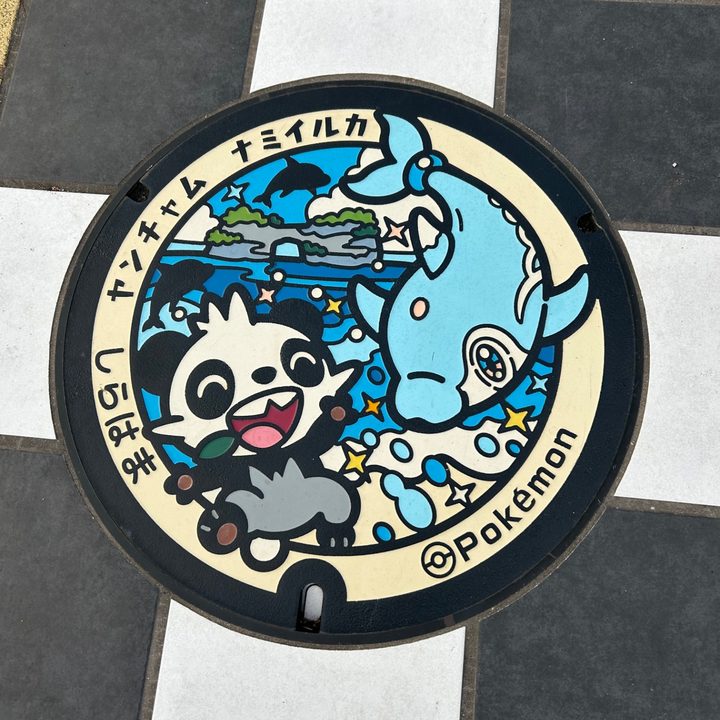 白浜町 白浜駅前のポケふた（ナミイルカ・ヤンチャム）の写真