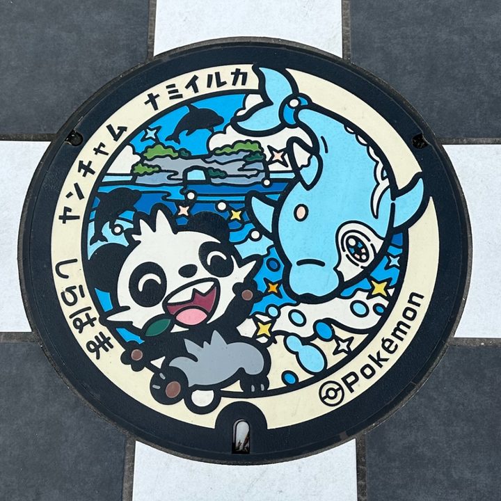 白浜町 白浜駅前のポケふた（ナミイルカ・ヤンチャム）の写真
