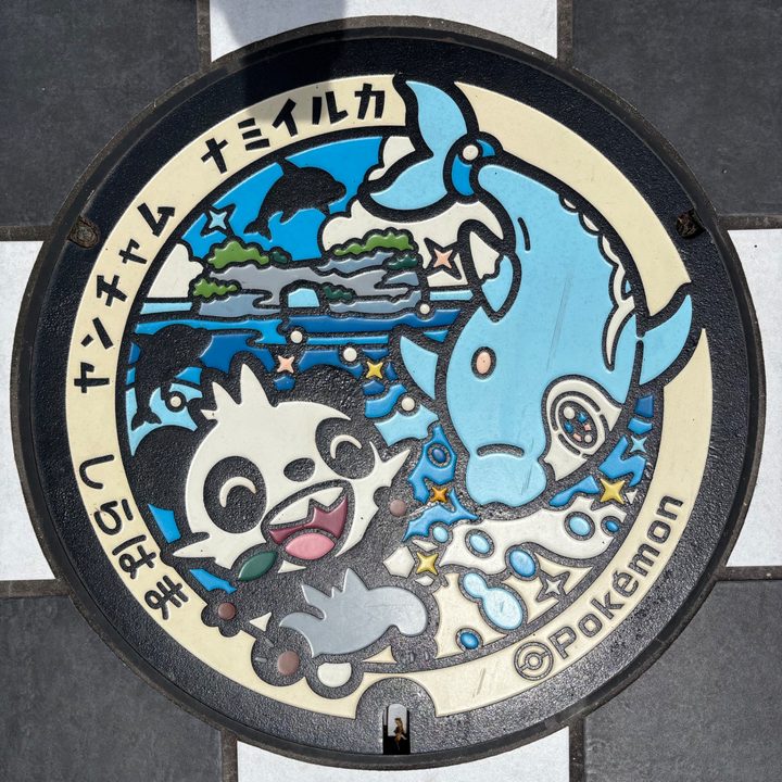 和歌山県白浜のポケふた（ナミイルカ・ヤンチャム）の写真