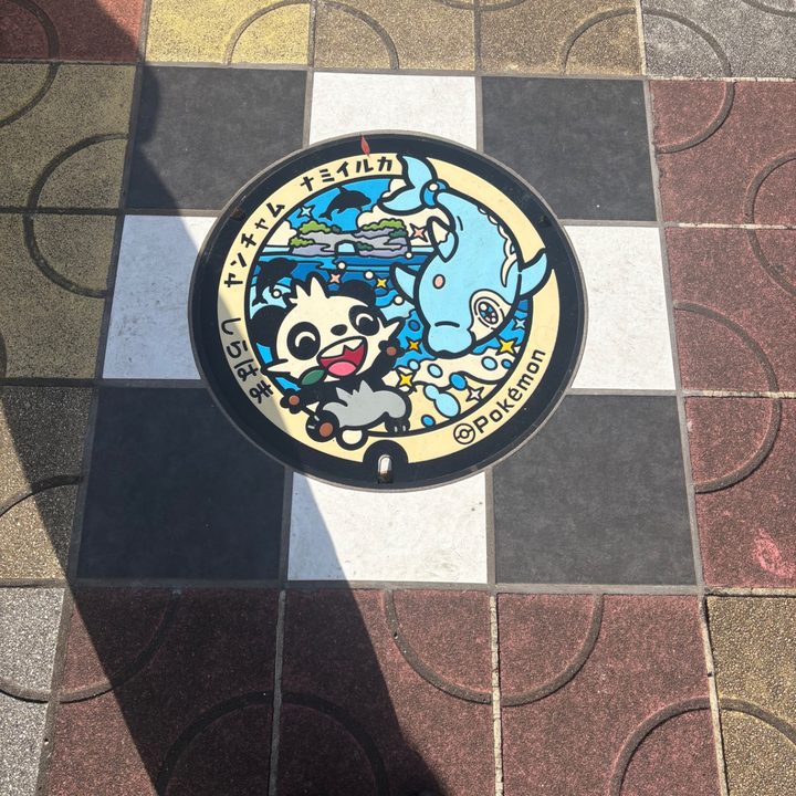 和歌山県白浜のポケふた（ナミイルカ・ヤンチャム）の写真