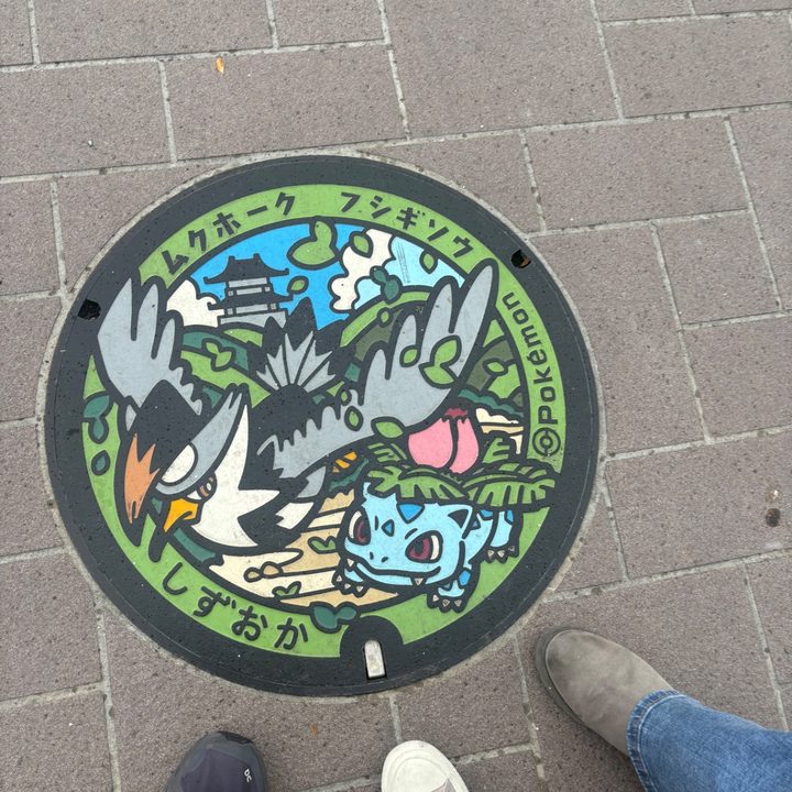 静岡県静岡のポケふた（フシギソウ・ムクホーク）の写真