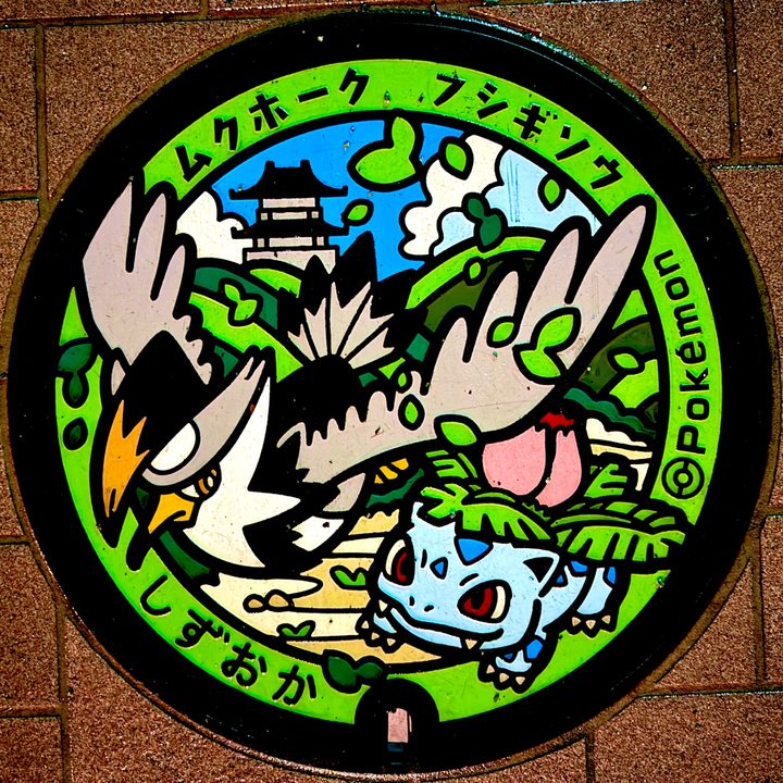 静岡県/静岡市のポケふた（フシギソウ・ムクホーク）の写真