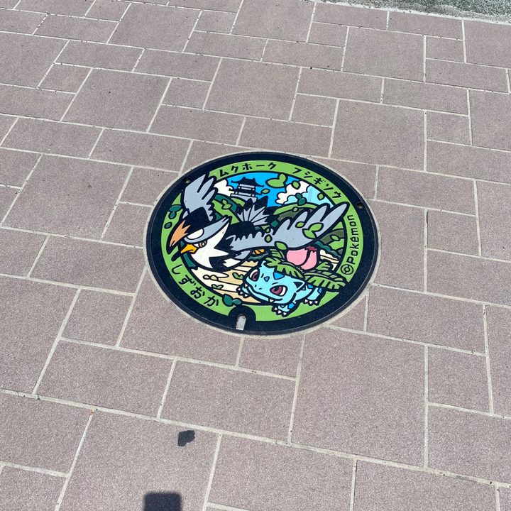 静岡県静岡のポケふた（フシギソウ・ムクホーク）の写真