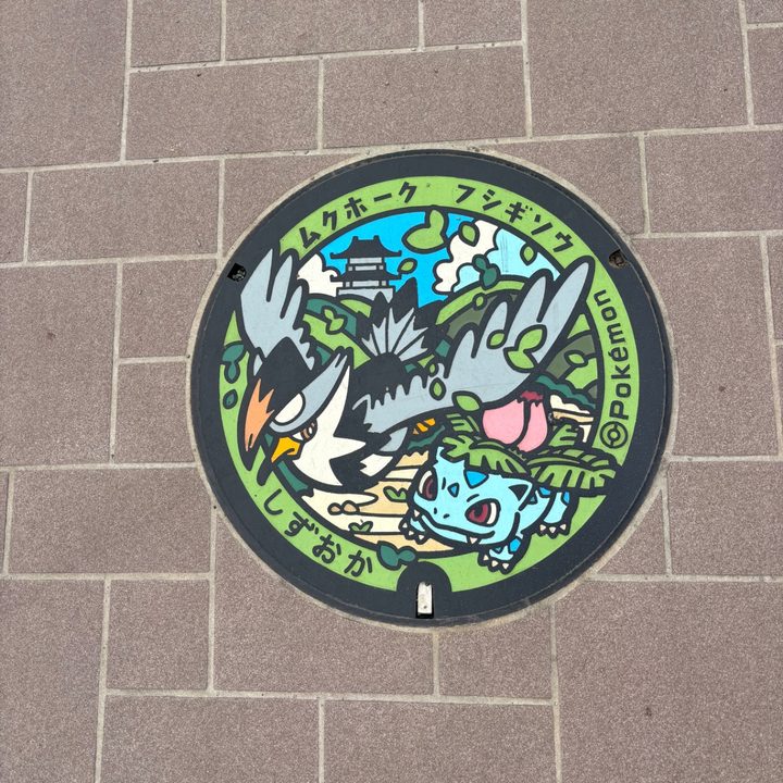 静岡県/静岡市のポケふた（フシギソウ・ムクホーク）の写真
