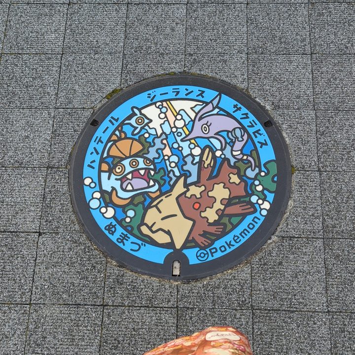 静岡県/沼津市のポケふた投稿写真