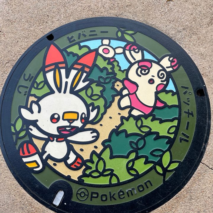 京都府宇治のポケふた（パッチール・ヒバニー）の写真