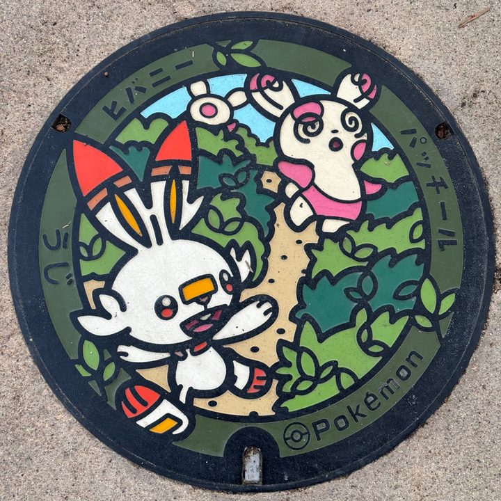 京都府宇治のポケふた（パッチール・ヒバニー）の写真