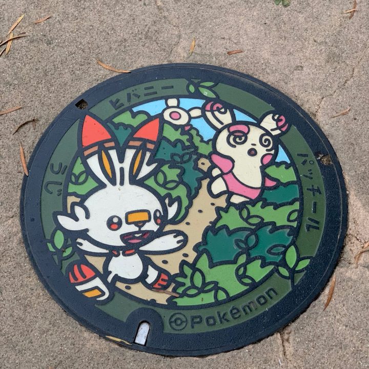 京都府宇治のポケふた（パッチール・ヒバニー）の写真