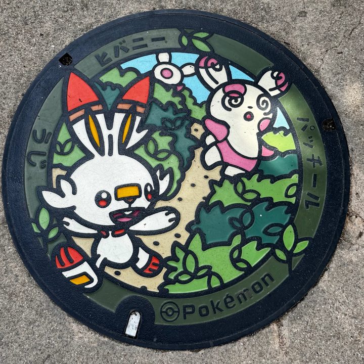 京都府宇治のポケふた（パッチール・ヒバニー）の写真