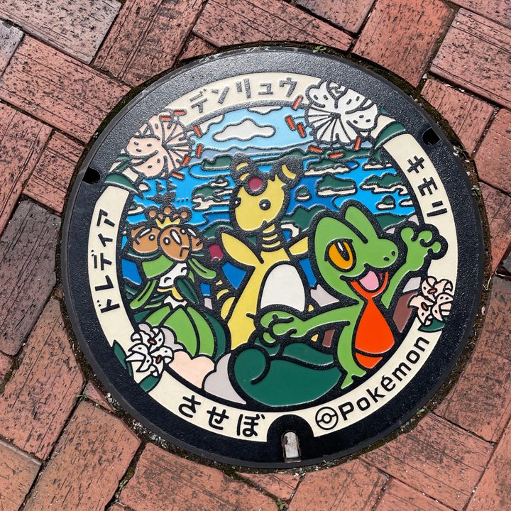 長崎県/佐世保市のポケふた（キモリ・デンリュウ・ドレディア）の写真