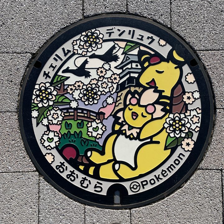 大村市 新大村駅前のポケふた（チェリム・デンリュウ）の写真