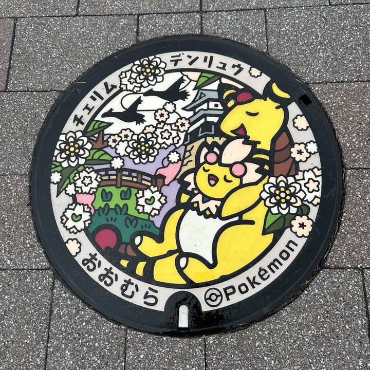 大村市 新大村駅前のポケふた（チェリム・デンリュウ）の写真