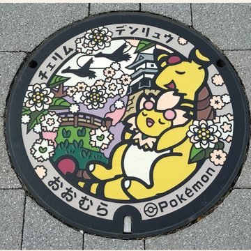 デンリュウのポケふた（長崎県大村市）