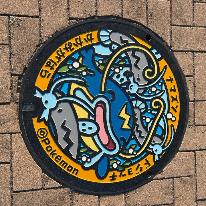 Photo of the Barboach, Whiscash Poké Lid in Kakamigahara