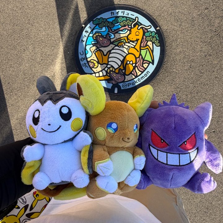 福井県敦賀のポケふた（カイリュー・マッギョ）の写真