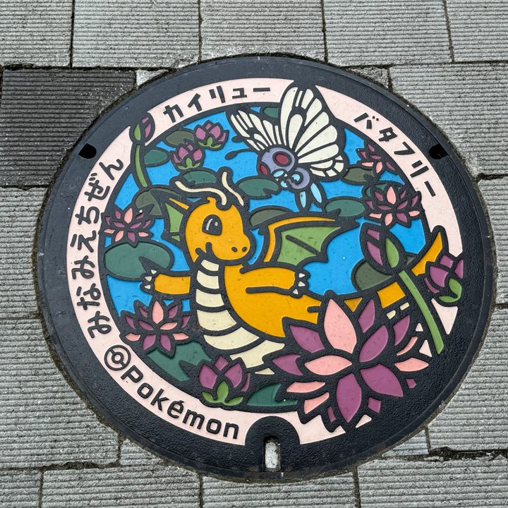 福井県南越前のポケふた（カイリュー・バタフリー）の写真