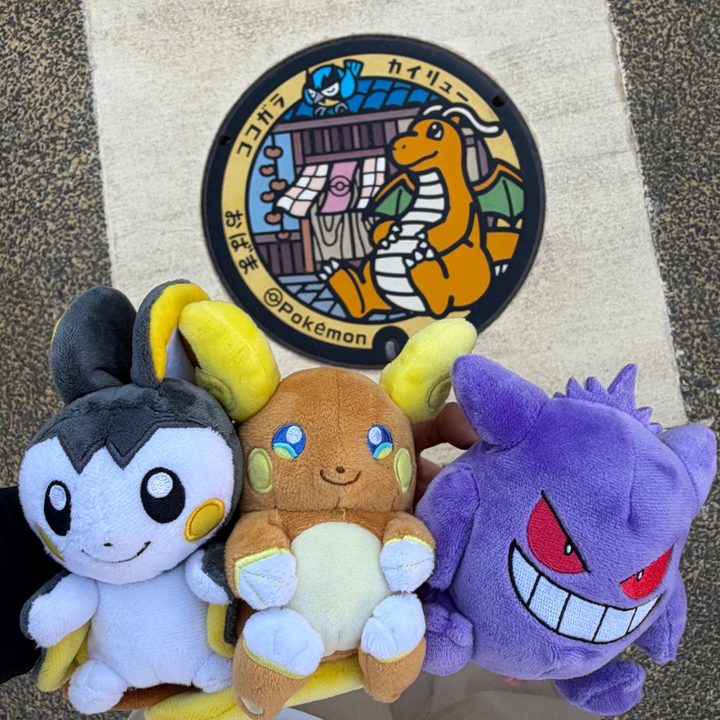 福井県小浜のポケふた（カイリュー・ココガラ）の写真