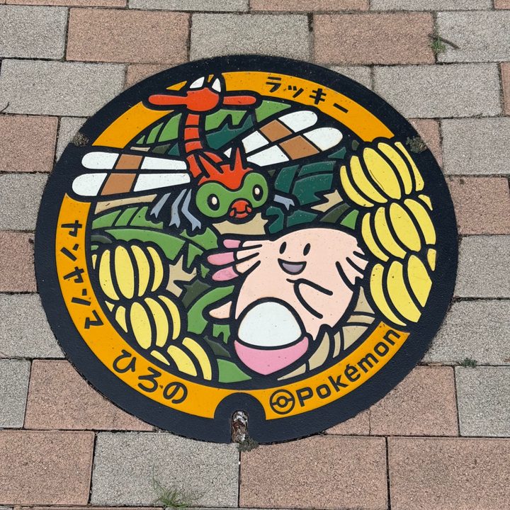 福島県/広野町のポケふた（ヤンヤンマ・ラッキー）の写真