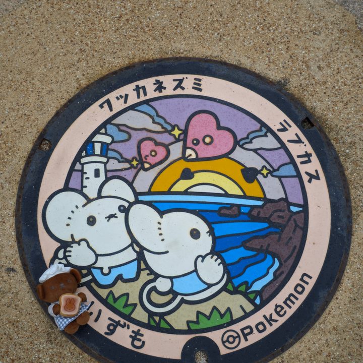 島根県出雲のポケふた（ラブカス・ワッカネズミ）の写真