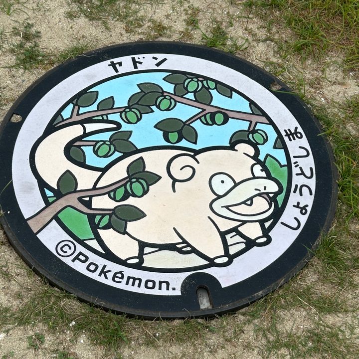 Photo of the Slowpoke Poké Lid in Shodoshima