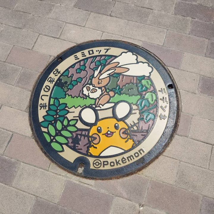 島根県 隠岐の島のポケふた