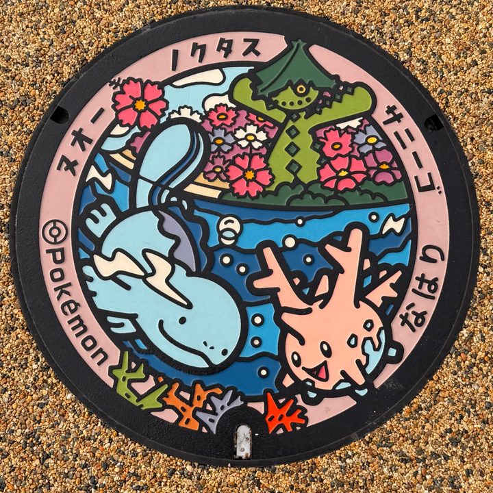 高知県奈半利のポケふた（サニーゴ・ヌオー・ノクタス）の写真
