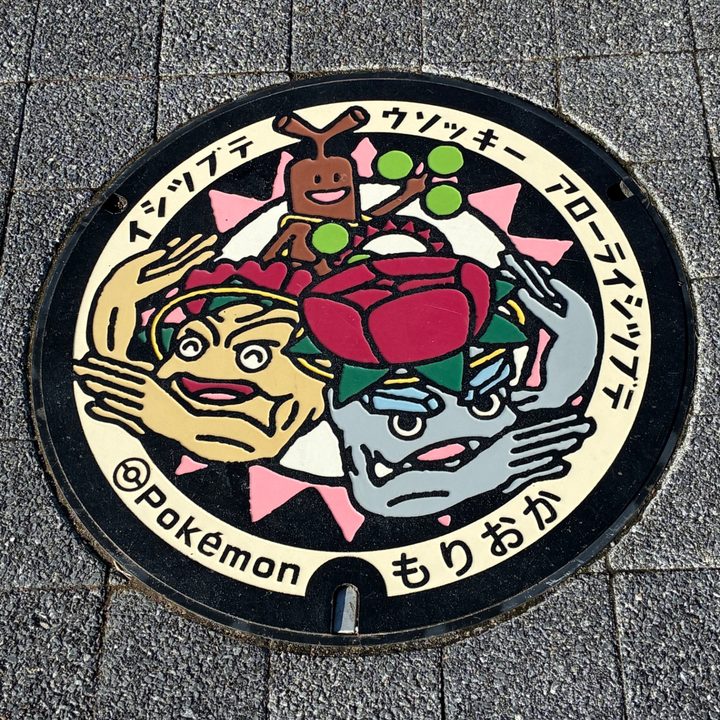 Photo of the Alolan Geodude, Geodude, Sudowoodo Poké Lid in Morioka