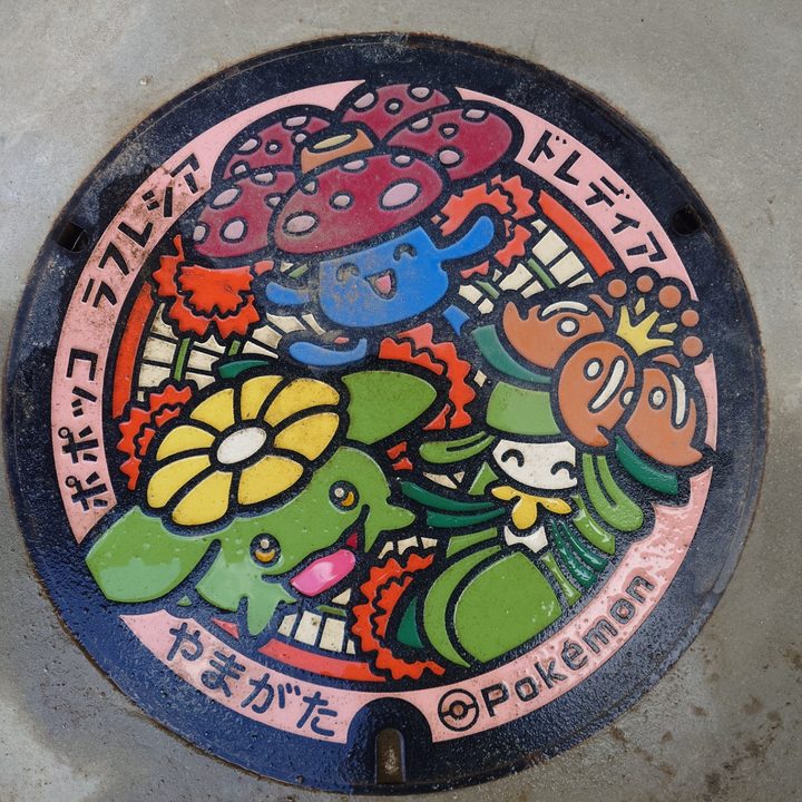 山形県山形のポケふた（ドレディア・ポポッコ・ラフレシア）の写真